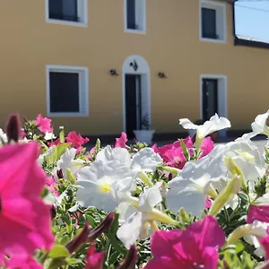 Riva Del Gallo Bed & Breakfast Tresigallo